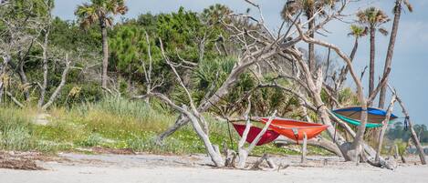 Una playa con dos barcos atados a árboles, rodeada de palmeras y otra vegetación.