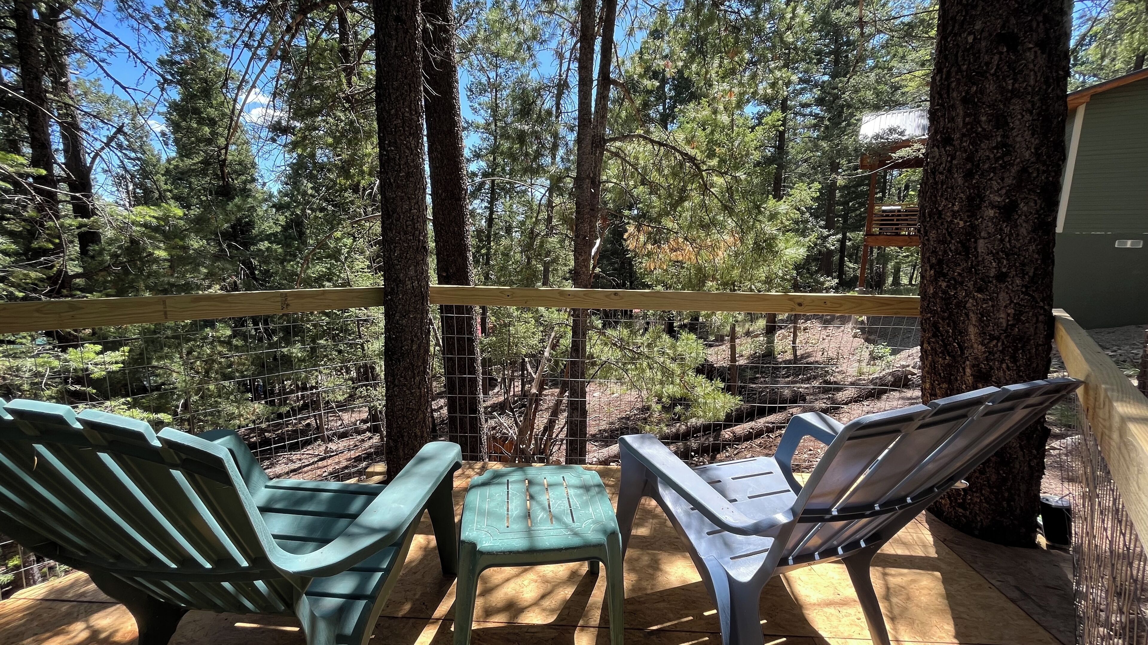 View from the treehouse deck