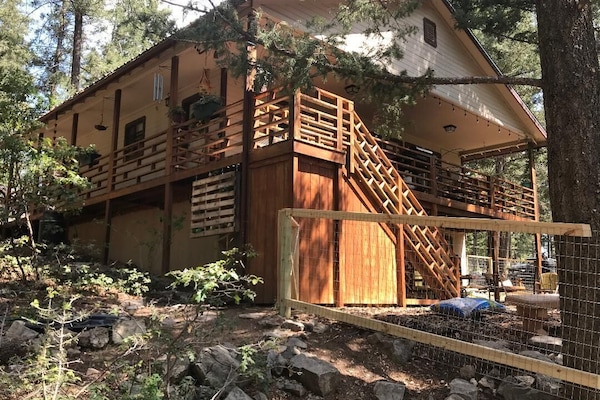 Summertime at the cabin