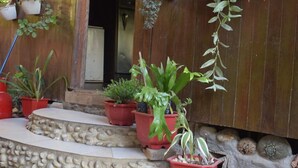 A wooden porch with potted plants and a stone wall. - Casa Hospedaje Tingo Maria (Rupa-Rupa)