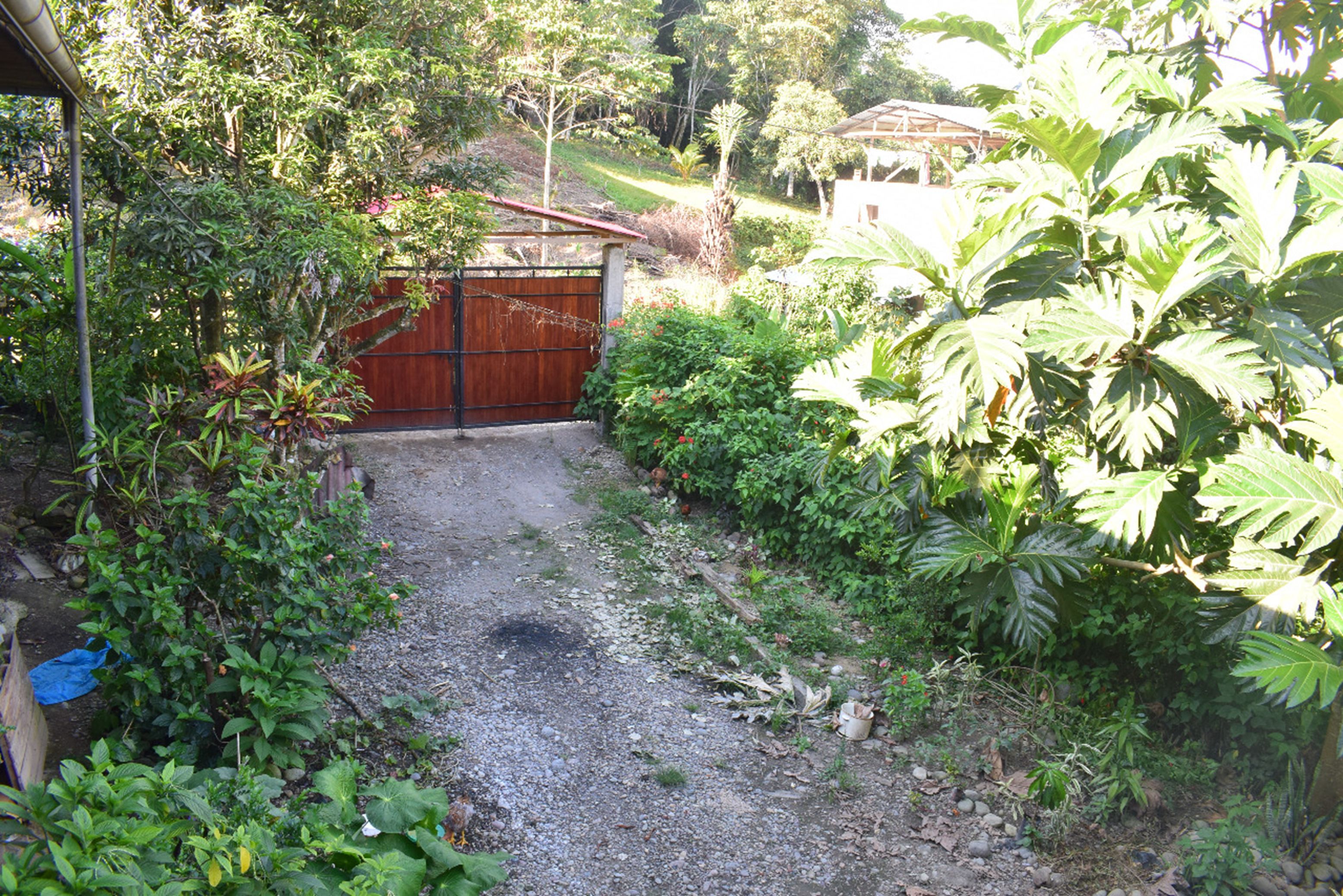 Un sendero de grava que conduce a un portón de madera rodeado de abundante vegetación.