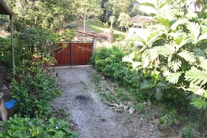 A gravel path leading to a wooden gate surrounded by lush greenery.