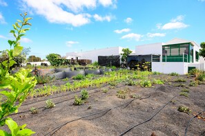 Overnattingsstedets uteområder