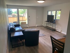 Smart TV, chimenea, reproductor de DVD y libros