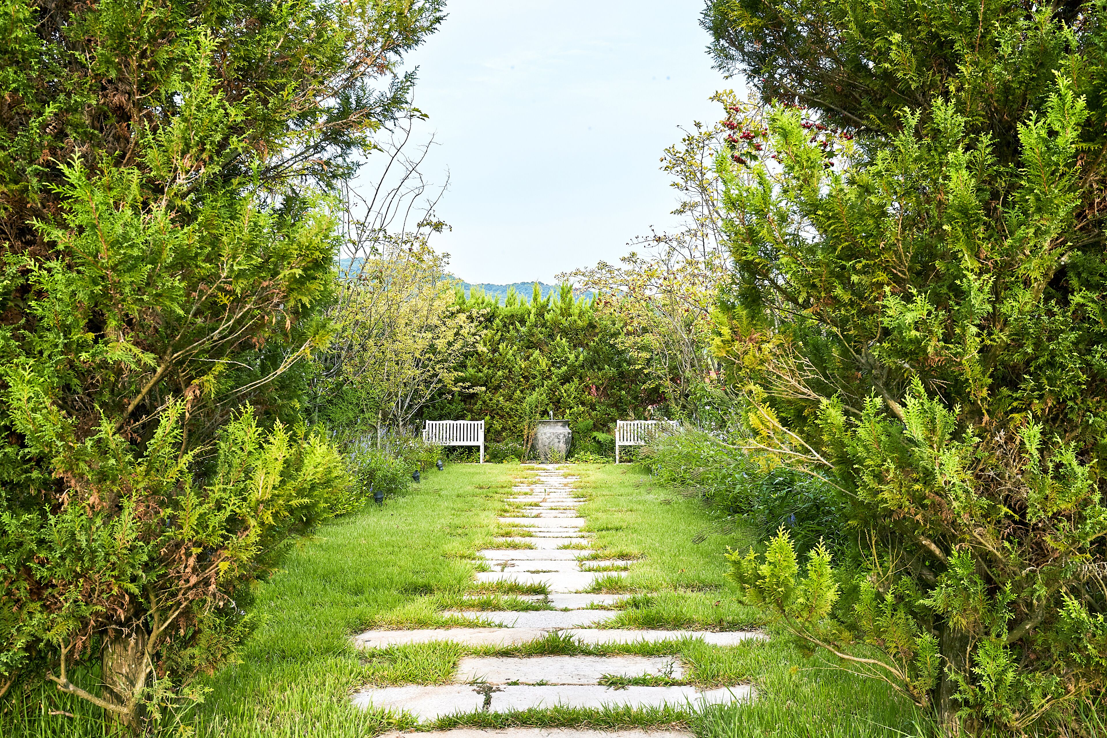 A stone pathway leading to a gate surrounded by lush greenery.