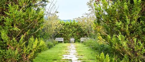 A stone pathway leading to a gate surrounded by lush greenery.