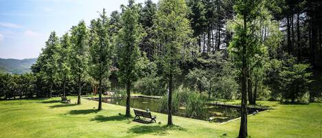 Un parque con césped, un estanque, árboles y un banco.