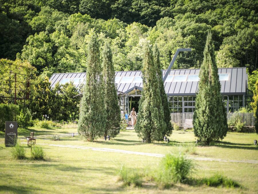 A modern building with a glass facade, surrounded by a well-maintained garden with tall trees and a clear pathway leading to the entrance.