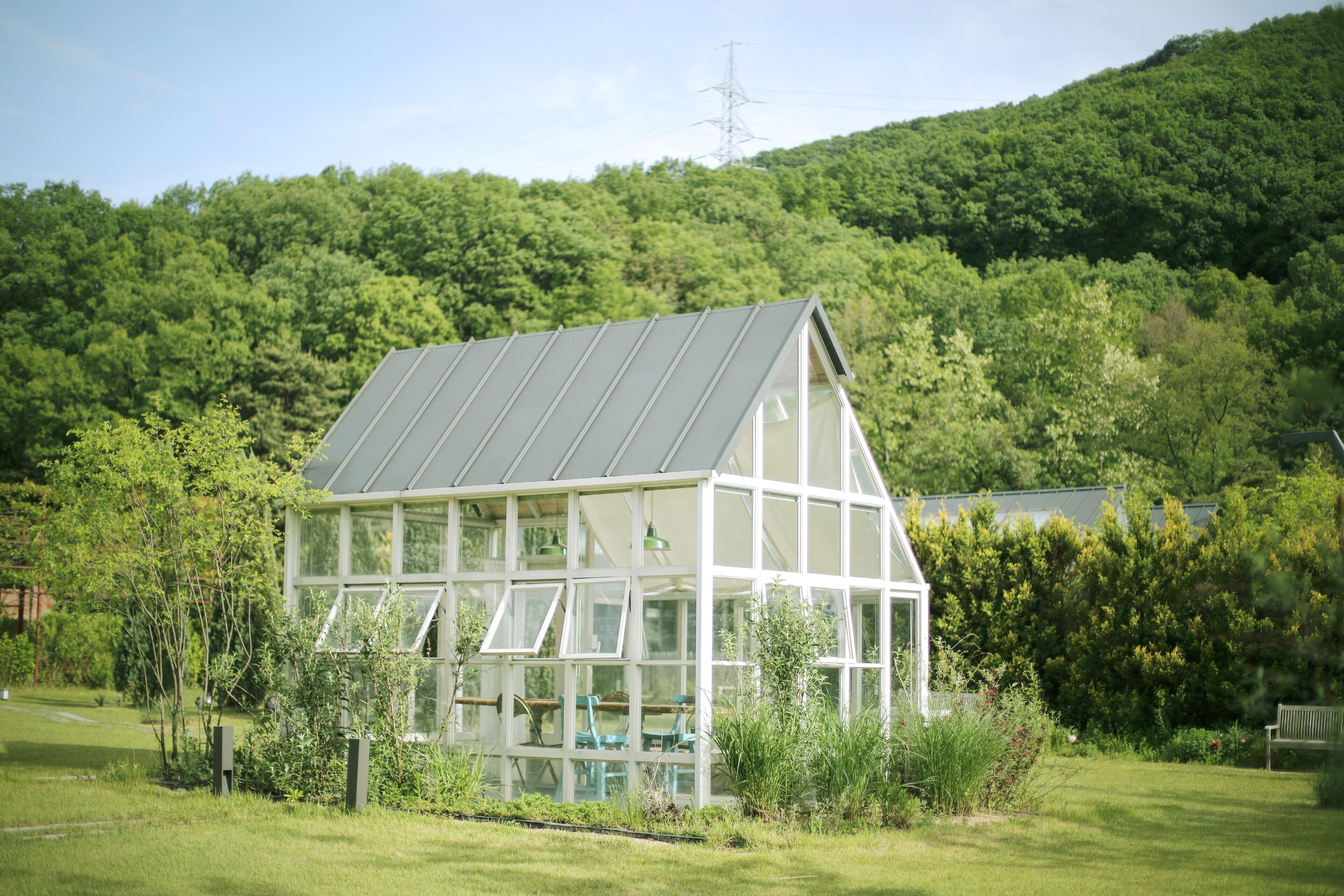 A glass conservatory with a sloped roof, surrounded by lush greenery and a hill in the background.