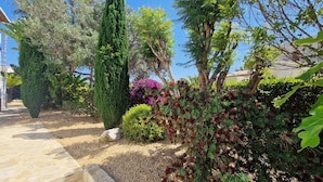 Un jardin avec différentes sortes de plantes et un sentier en pierre.