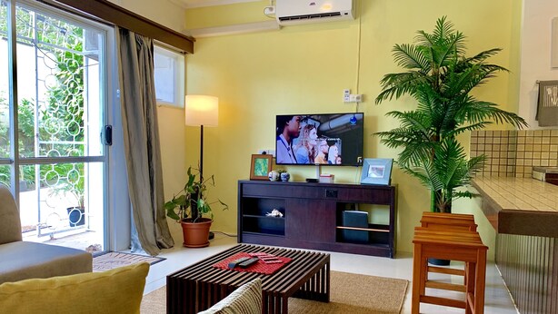 Ein Wohnzimmer mit Sofa, Couchtisch, Fernseher, Topfpflanze und einer Küchenzeile mit Fliesenrückwand.
