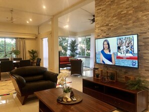 Flat-screen TV
