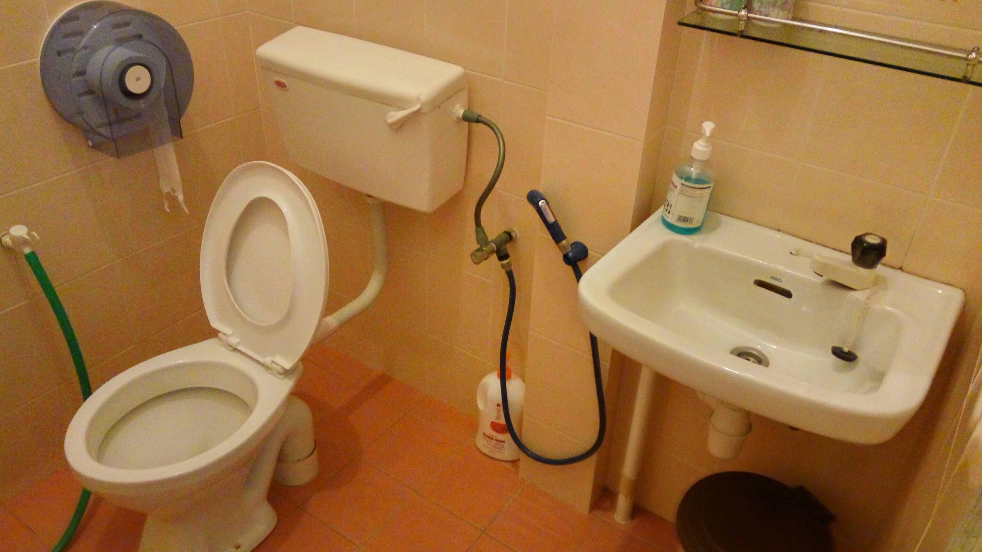 A bathroom with a toilet, sink, and a hose connected to the toilet.