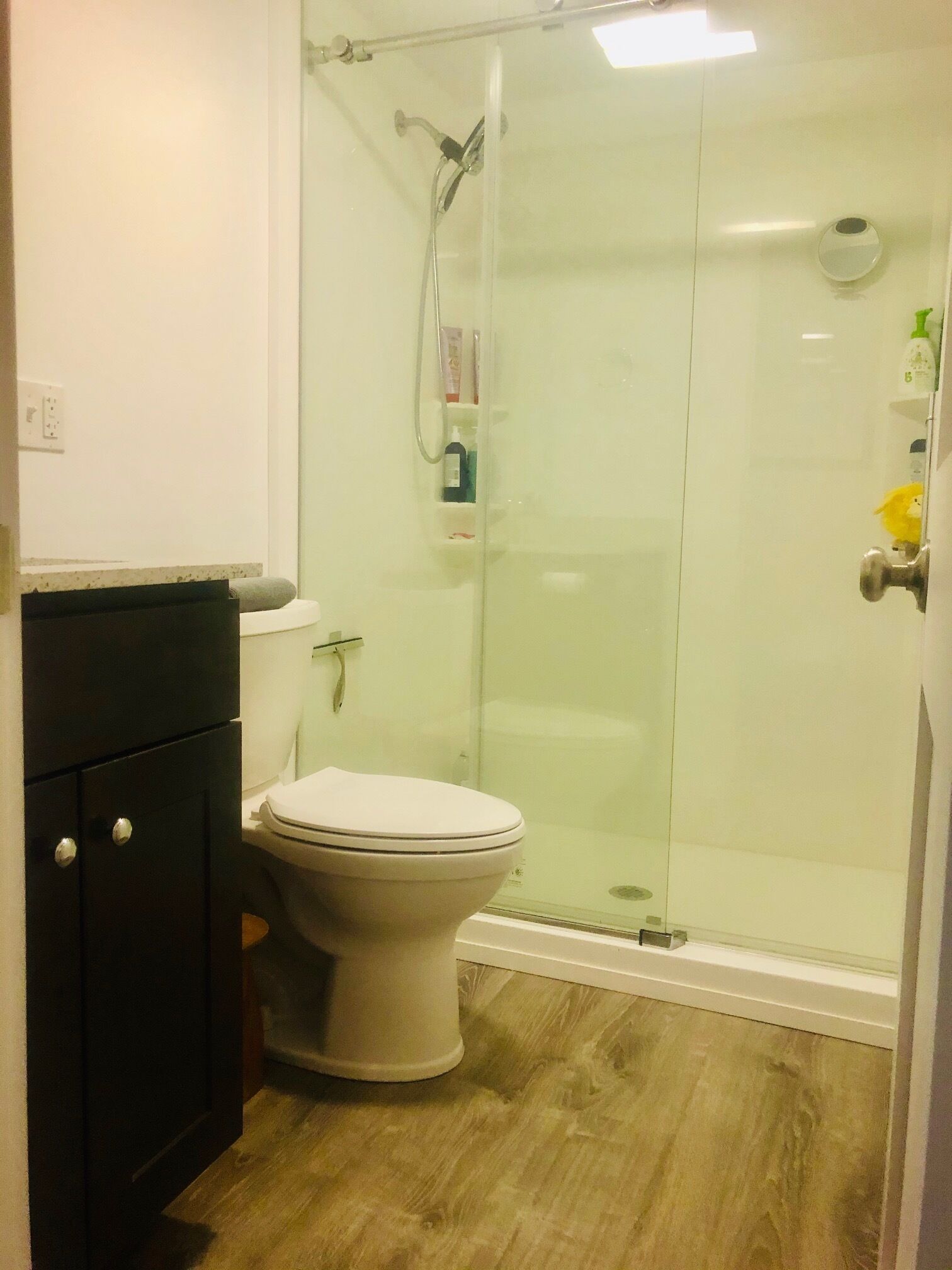 Une salle de bain équipée de toilettes, d’une douche à parois de verre et d’un meuble de couleur sombre.