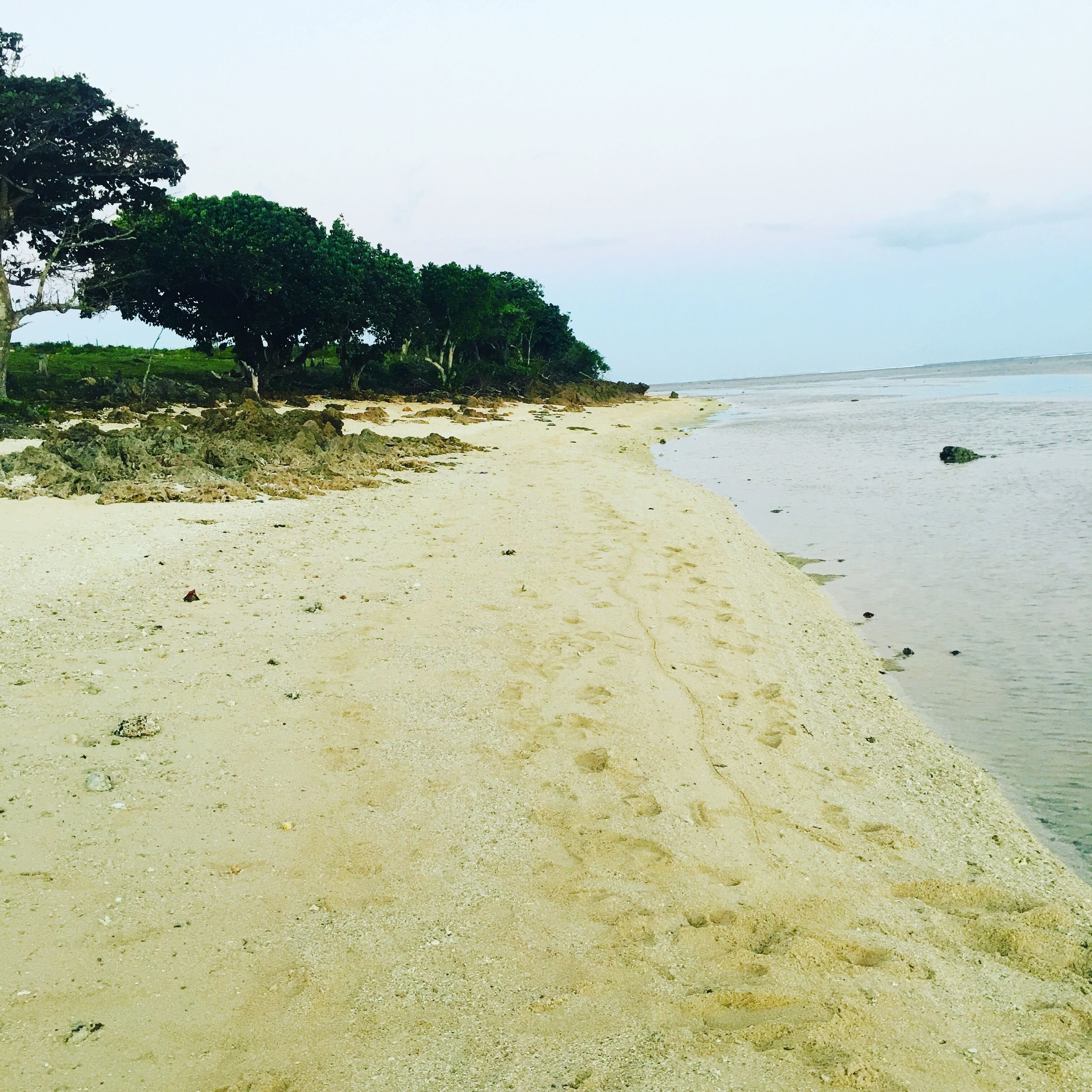 A sandy beach with trees and a calm sea.