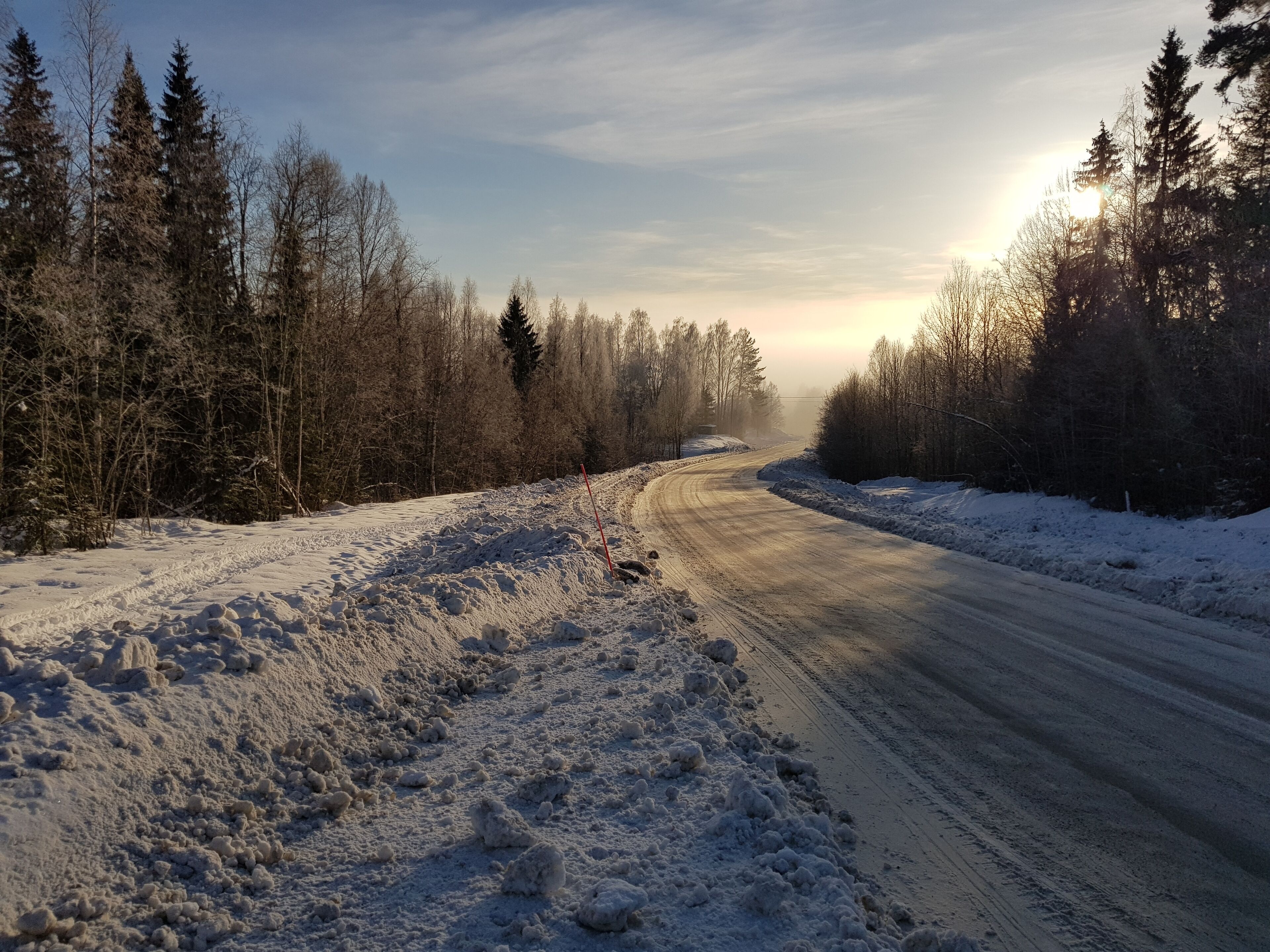 A snow-covered road flanked by trees, leading towards a distant horizon.