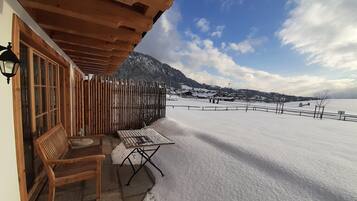 Apartment (Kaiserblick) | Terrace/patio