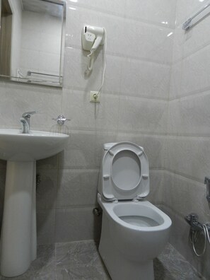 Combined shower/bathtub, free toiletries, hair dryer, towels