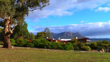 Luxury Villa | Property grounds