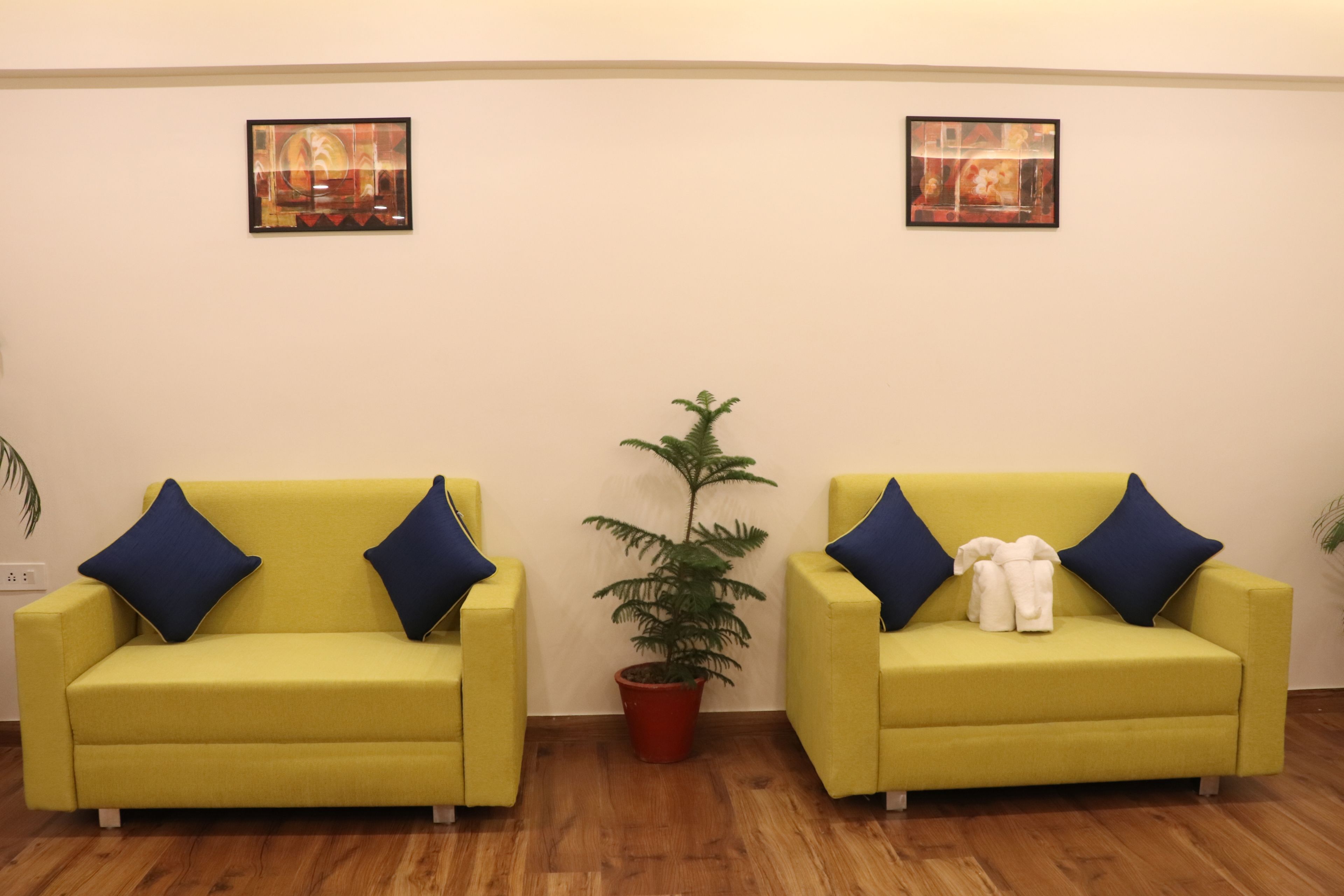 Two yellow sofas with blue cushions, a potted plant, and two framed artworks on the wall.