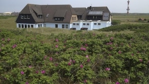 Una casa grande de varios pisos con techo inclinado y varias ventanas, rodeada por un campo cubierto de césped y flores rosadas.