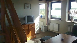 Una habitación con techo de madera, un televisor sobre un mueble de madera, un radiador, una ventana con vistas y una planta en el alféizar.