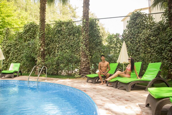 A swimming pool with lounge chairs and a palm tree.