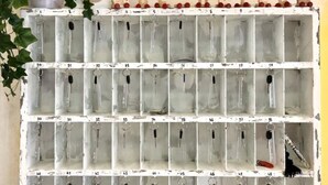 A white key organizer with numbered slots, a potted plant, and two framed pictures with illustrations of animals and plants. - Be Hotel Rimini (Rimini)