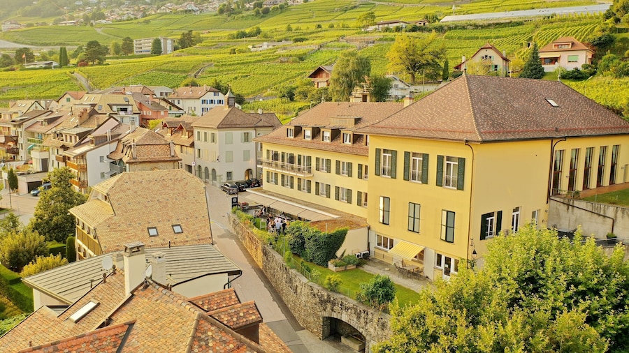 Châtonneyre Hôtel et Restaurant