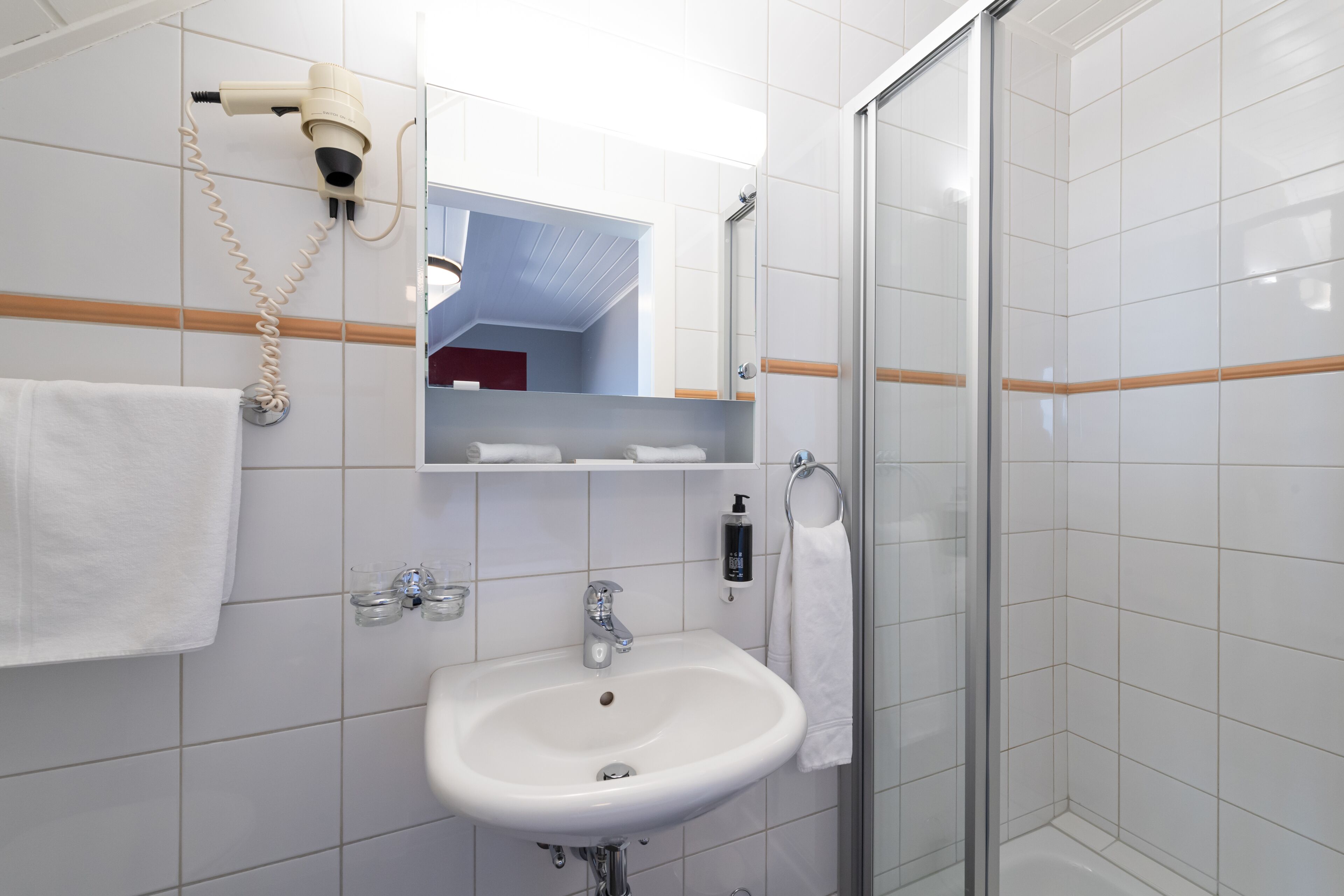 hair dryer, towels, soap, shampoo