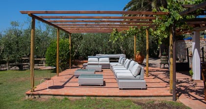 Azienda Agricola Sapereta