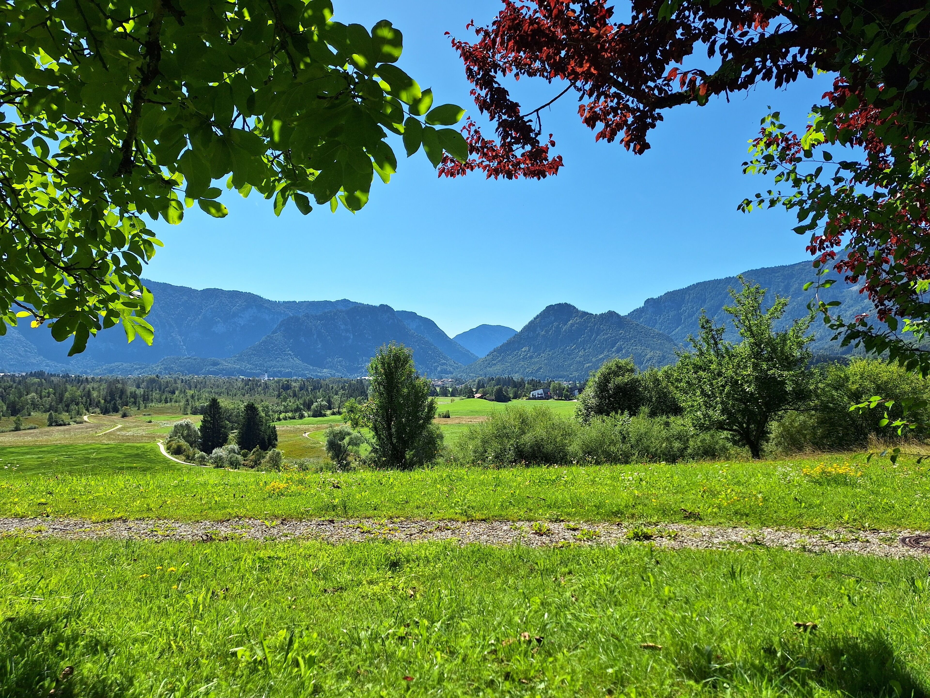 Ländliche Landschaft mit blauem Himmel, grünen Feldern und Bergen im Hintergrund.