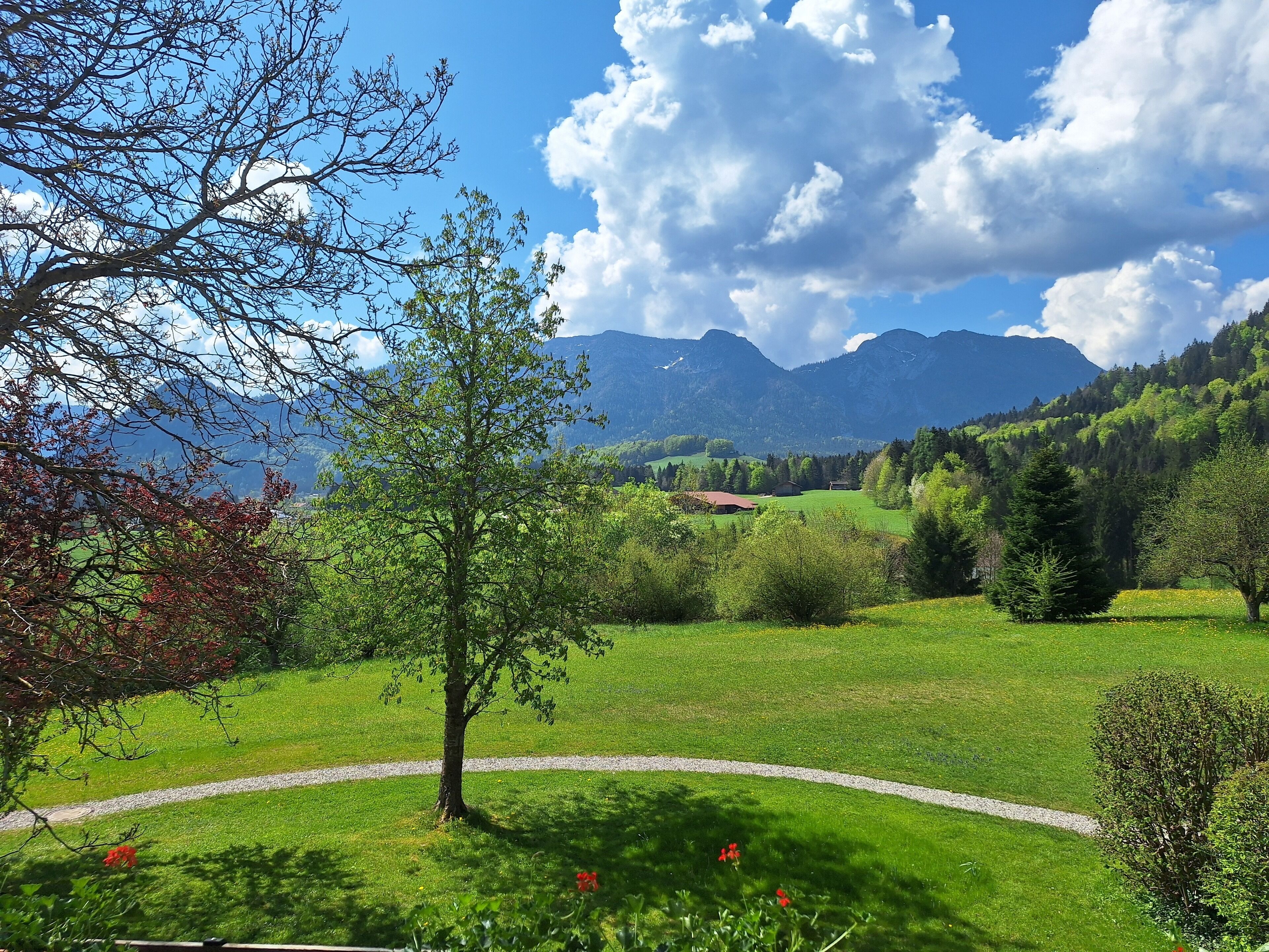 Garden view