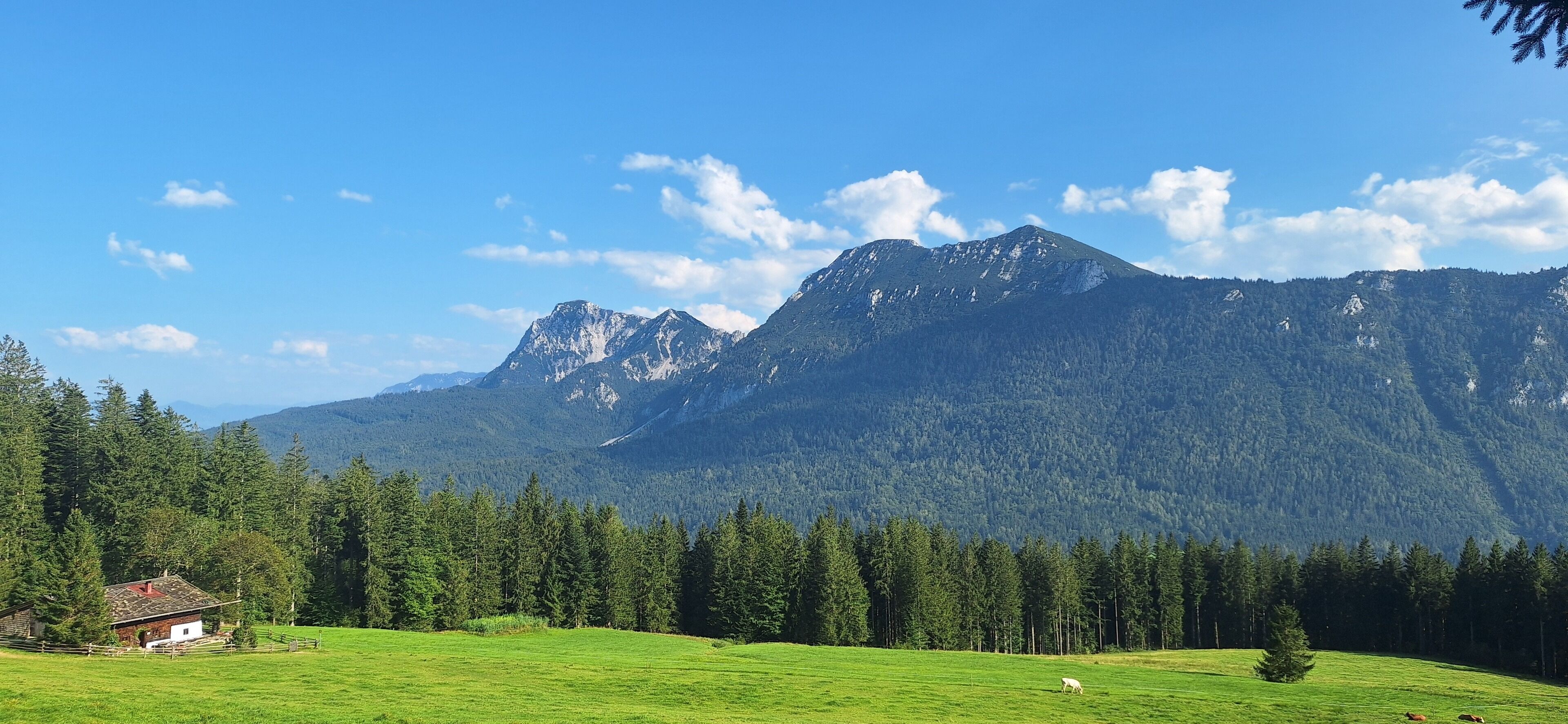 Un paysage de montagne avec une petite maison située dans un champ verdoyant.