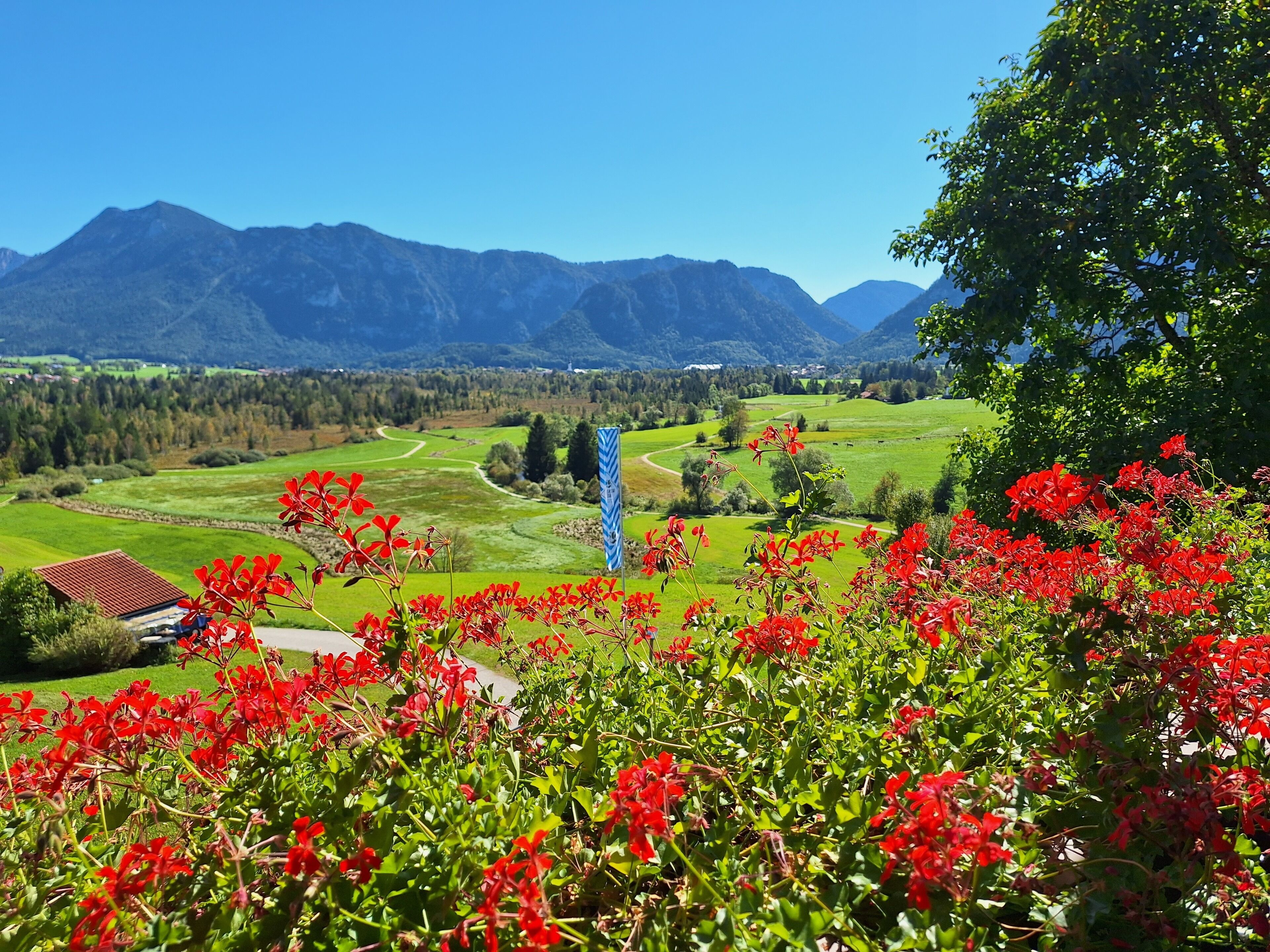 A scenic view of a mountainous landscape with a clear sky, lush green fields, and red flowers in the foreground.