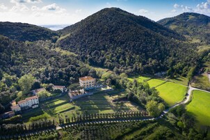 Vista aerea di una tenuta di campagna con un ampio edificio centrale circondato da vegetazione lussureggiante e campi.