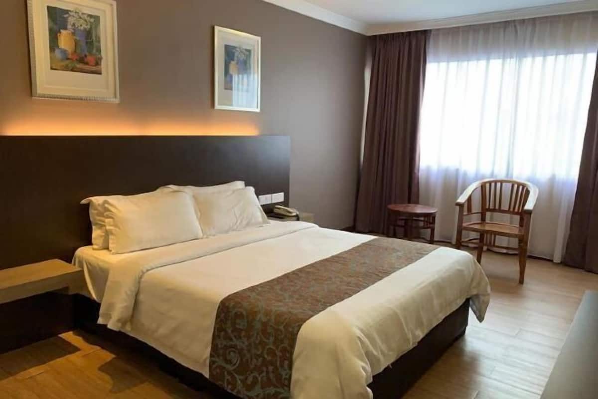 1 slaapkamer, een minibar, een bureau, een laptopwerkplek