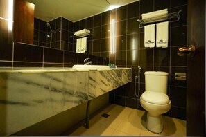 Free toiletries, hair dryer, slippers, bidet