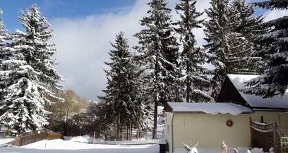 Appartementhaus Hollandhaus