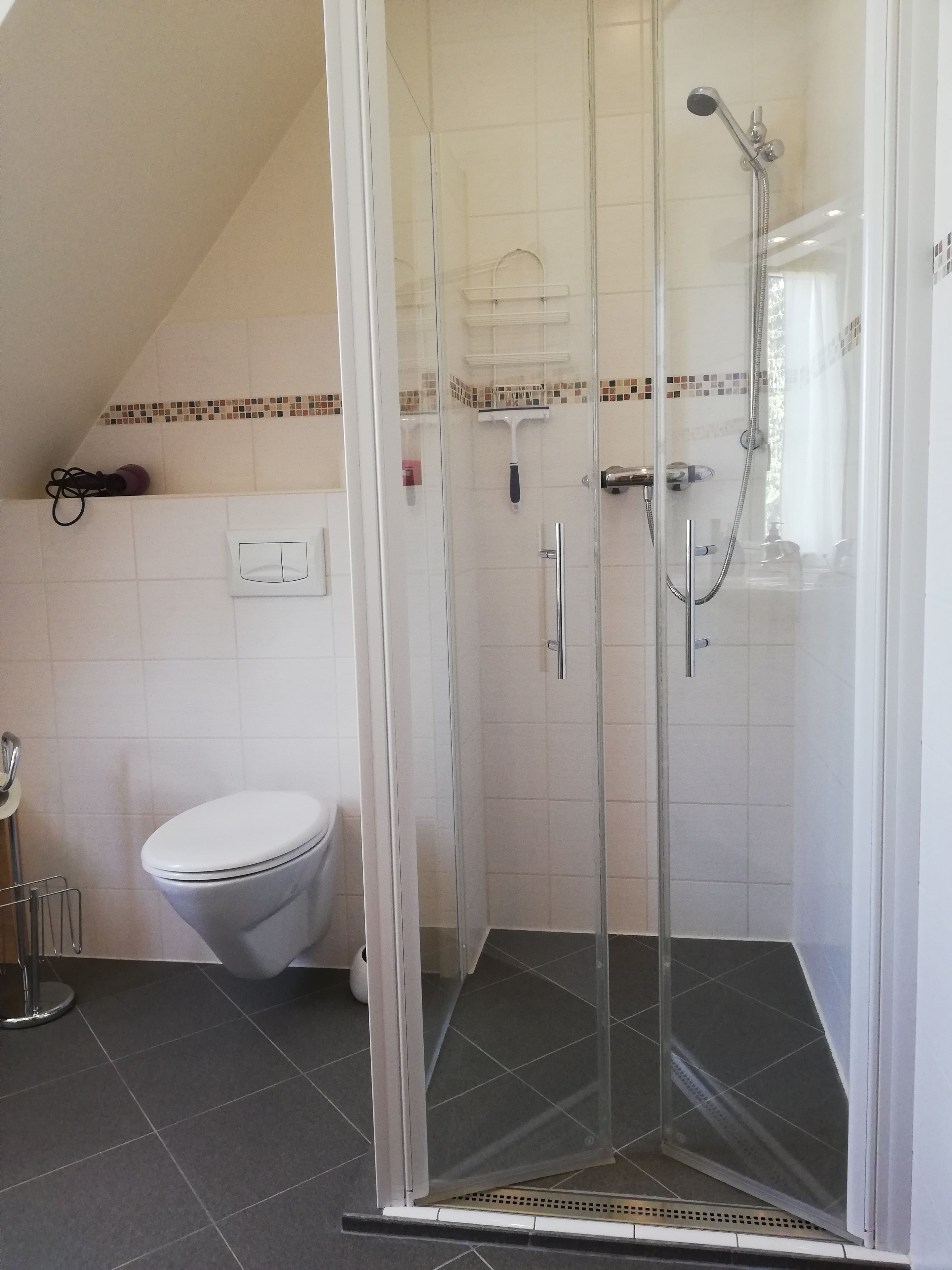 A bathroom with a glass-enclosed shower, a toilet, and a tiled floor.