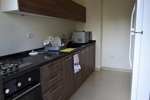 Apartment, 3 Bedrooms | Private kitchen | Full-size fridge, microwave, oven, electric kettle - Achrafieh 219 (Beirut)