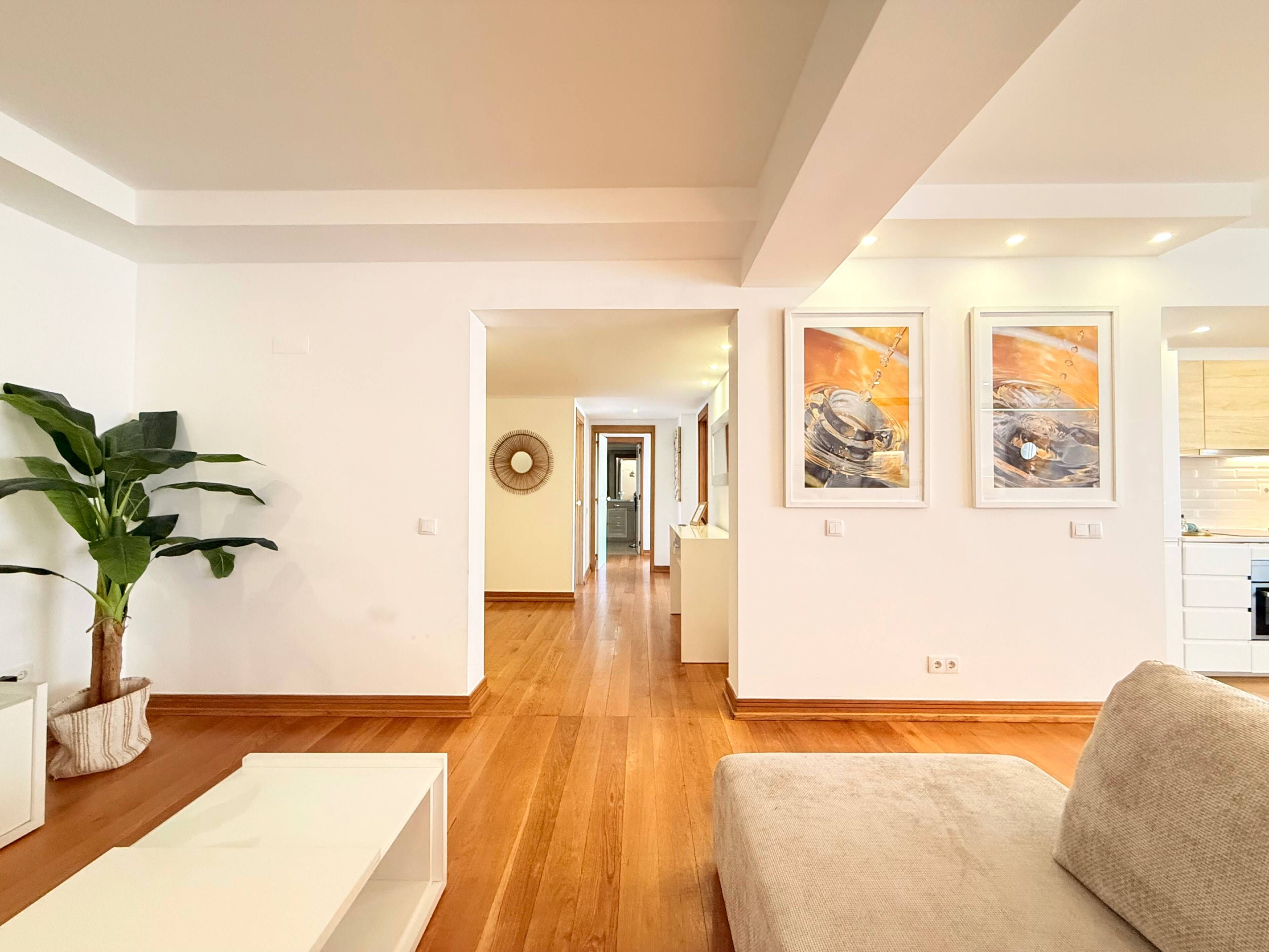 A spacious living area with hardwood flooring, a sofa, a coffee table, and a potted plant.