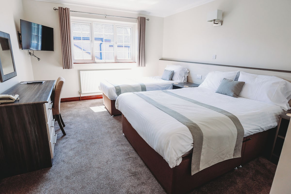 Triple or Twin Room, Multiple Beds | Desk, laptop workspace, iron/ironing board, free WiFi