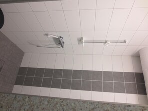 Ducha, toallas, papel higiénico