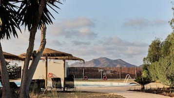 Seasonal outdoor pool, pool umbrellas, pool loungers