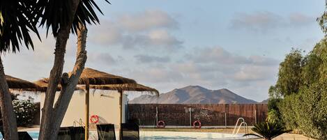 Seasonal outdoor pool, pool umbrellas, sun loungers