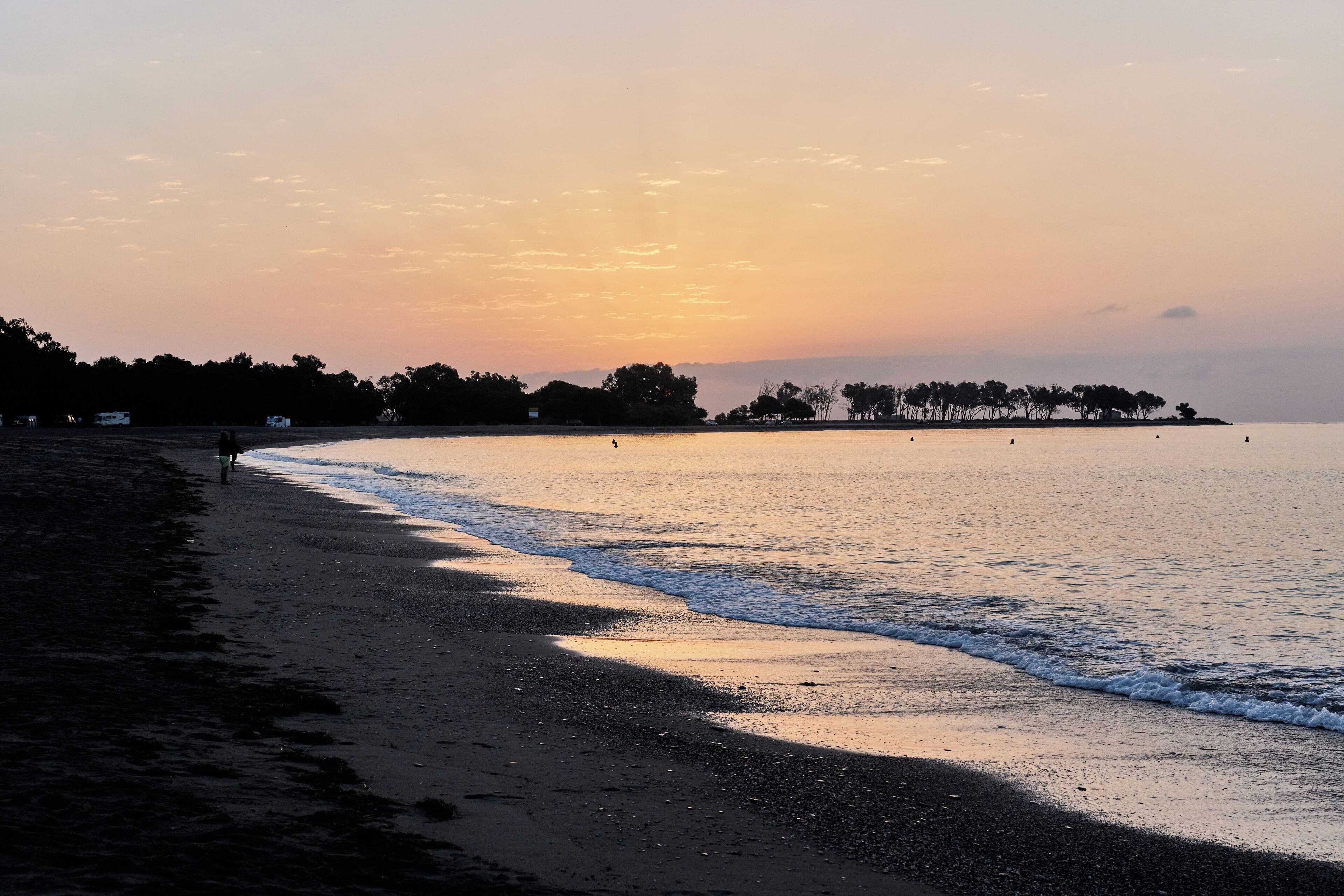 A beach with a calm sea, a clear sky, and a distant tree line.