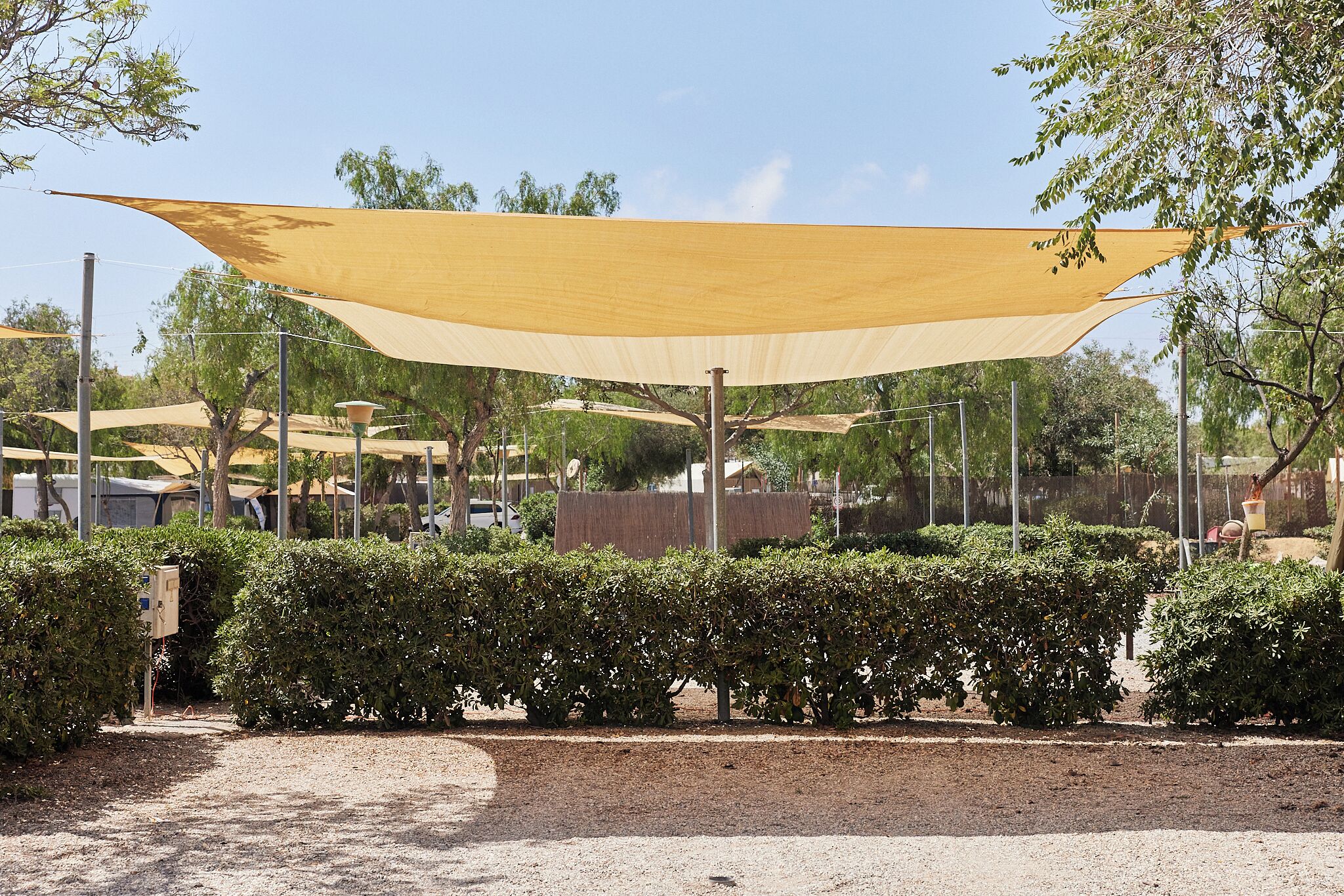 Un espace extérieur ombragé, avec un sol en terre battue, entouré d’arbustes et d’arbres soigneusement taillés.