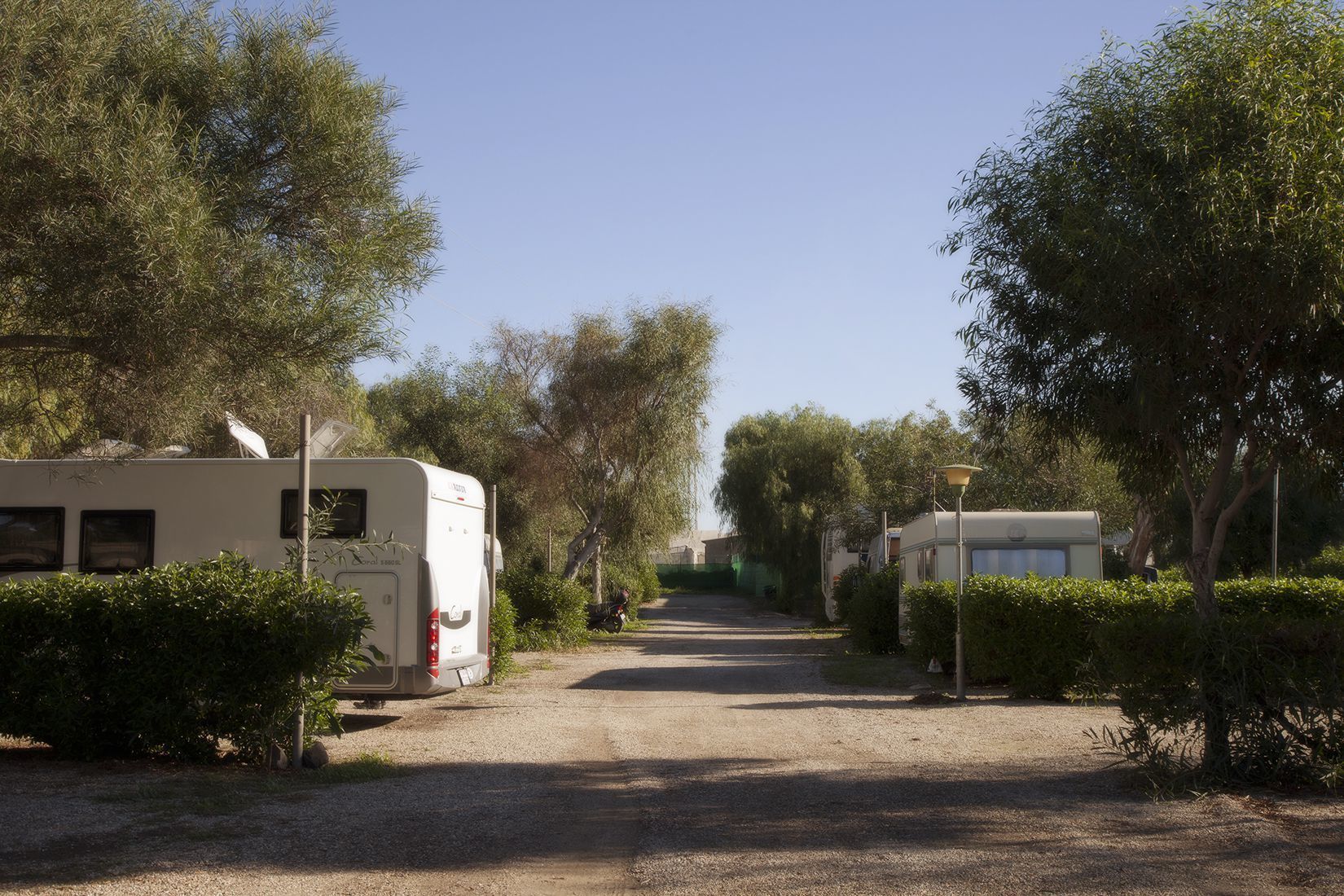 Un camino de grava que lleva a una hilera de casas rodantes en un camping rodeado de árboles.