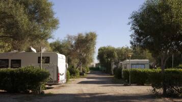 Un camino de grava que lleva a una hilera de casas rodantes en un camping rodeado de árboles.